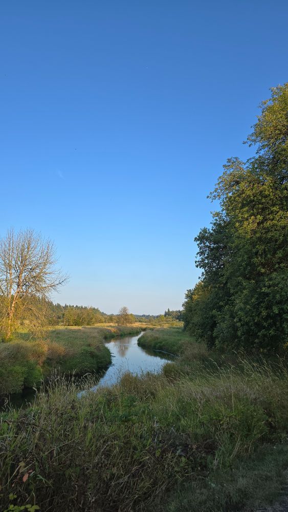 Usual view of Salmon Creek from the Felida end of the trail, sadly, still sunny 😕