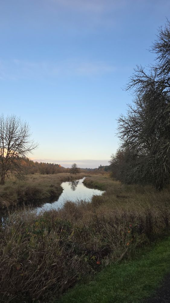 Usual view of Salmon Creek from the Felida end of the trail, blue sky, clouds on the horizon
