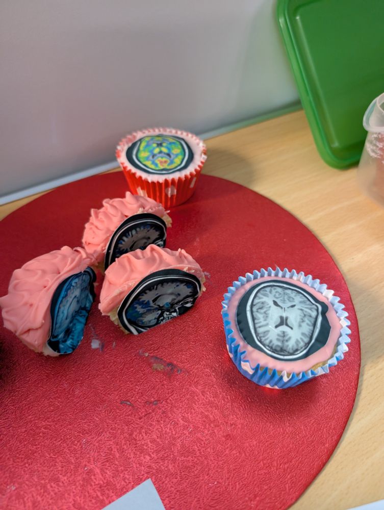 Some of the cakes entered as part of the conference bake-off