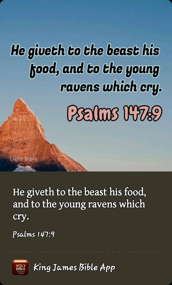 He giveth to the beast his food, and to the young ravens which cry. Psalms 147:9 King James Bible App. Inspiration: Our Creator designed a beautiful world. He formed the mountains with His hands while breathing life into every creature. His creation is perfect, and we are amazed by His attention to detail. The smallest creatures have specific purposes, and He provides for them accordingly. We see His work in action and understand that He also tends to each detail of our lives. He provides for us physically and spiritually; we are thankful for His devotion.
Prayer: Dear God, You take care of every detail. We are thankful for Your attention to all of our needs. In Jesus' Name, Amen.