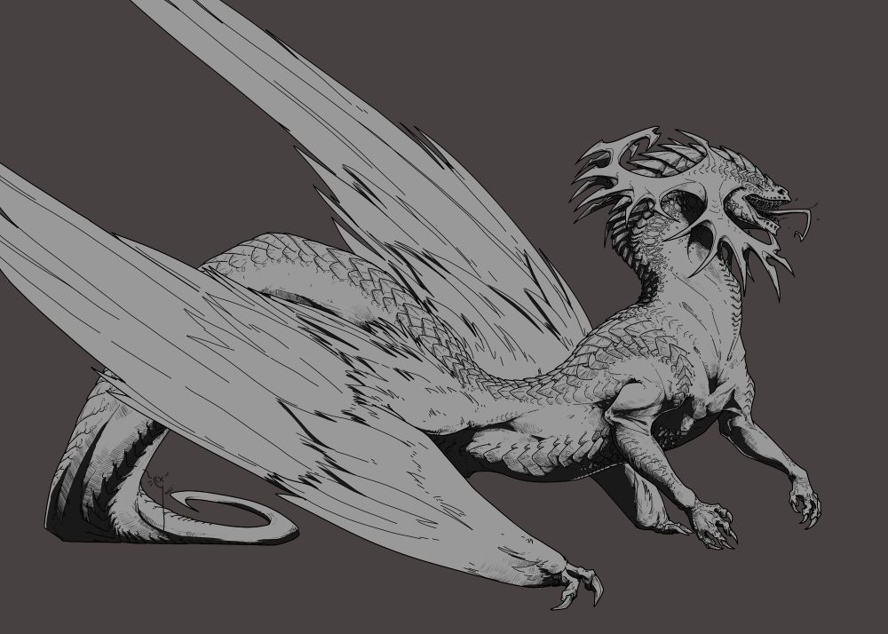 The dragon but without colour, just solid grey under the lines and black shading. 