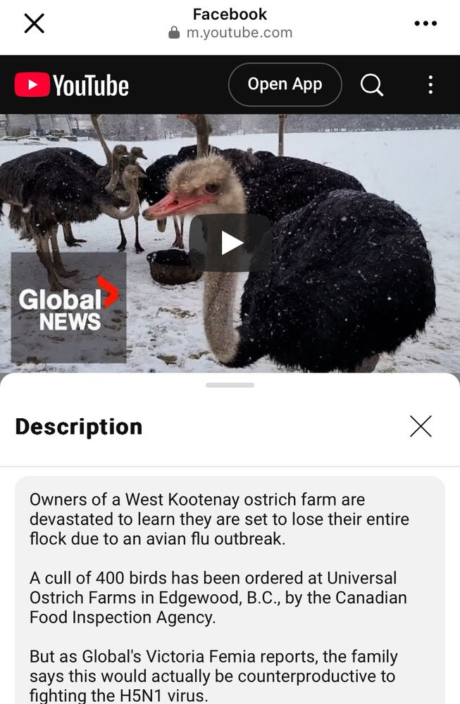 YT describes H5 outbreak in BC  