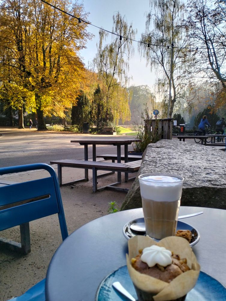 Foto vanaf een terras in een stadspark. Op de voorgrond een tafeltje met daarop een cupcake en en latte macchiato. Op de achtergrond een blauwe lucht met een herfstzonnetje op de bomen die vol zitten met oranje bladeren