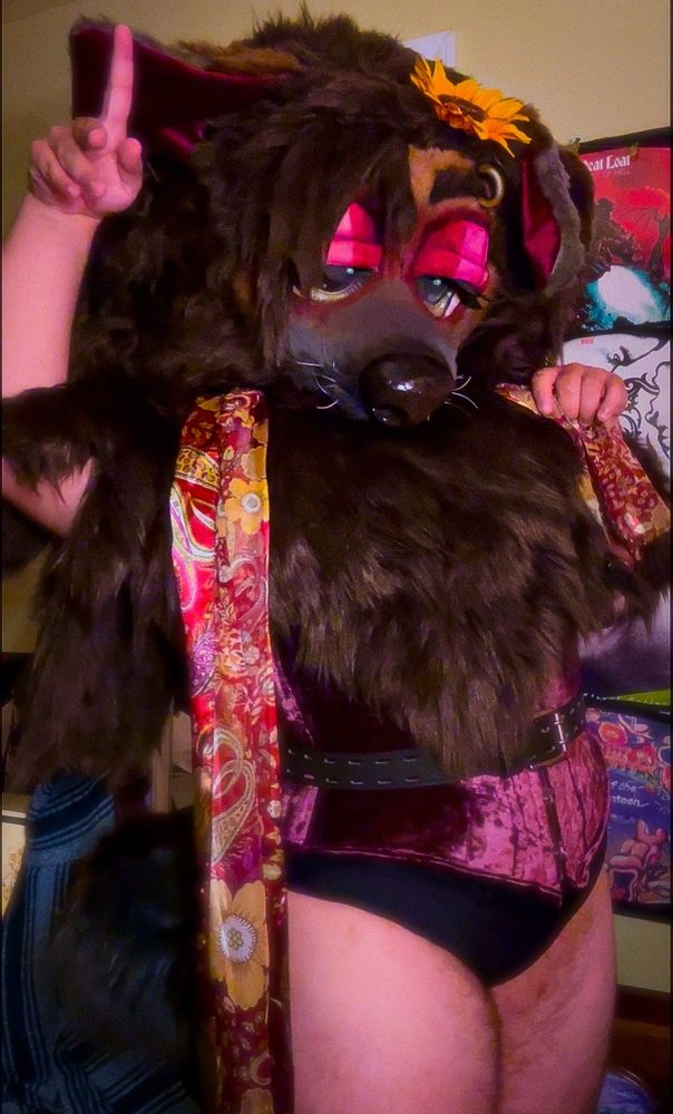 Bailey in a burgundy corset made by me! In this photo, Bailey’s suit consists of her mask, fur poncho and curly tail. She also has paws and a midriff not pictured here- follow for more! 