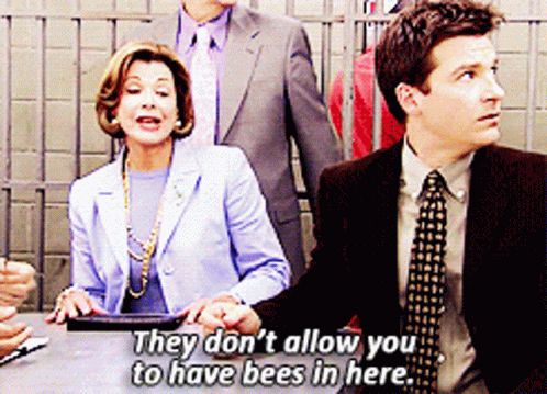 Screengrab of Lucille Bluth from “Arrested Development” saying “They don’t allow you to have bees in here.”