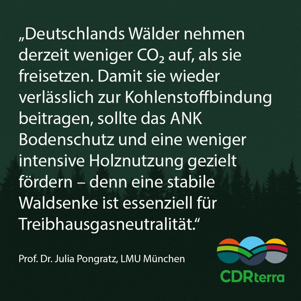 Zitat Julia Pongratz