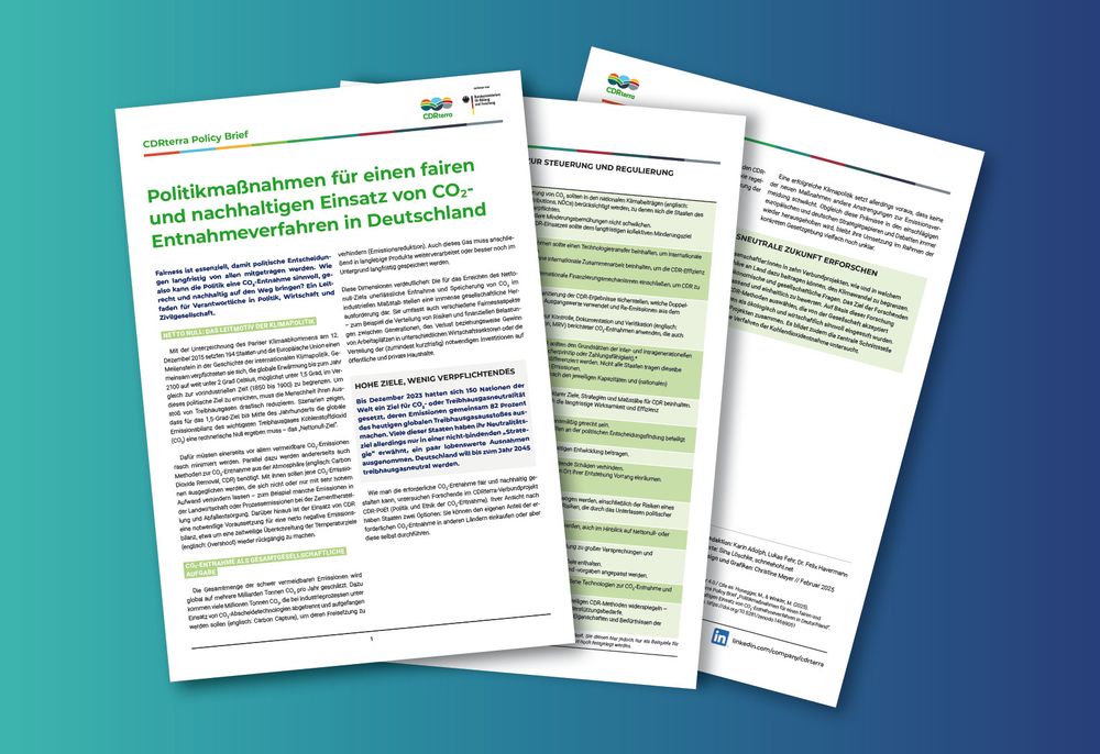 Der neue CDRterra Policy Brief bietet einen Leitfaden zum fairen und nachhaltigen Einsatz von CO2-Entnahme in Deutschland.