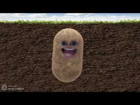 Little potato song