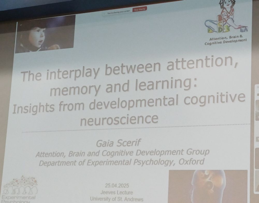 Introductory slide for talk by Gaia Scerif.