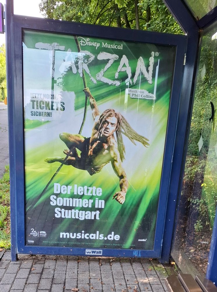 Wall-Werbung an einer Haltestelle. 
In einem blauen Rahmen hängt ein Plakat das für das Musical Tarzan wirb. Es ist hauptsächlich grün mit weißer Schrift, in der Mitte schwingt ein Mann an einer Liane.

Unten steht groß: Der letzte Sommer in Stuttgart 