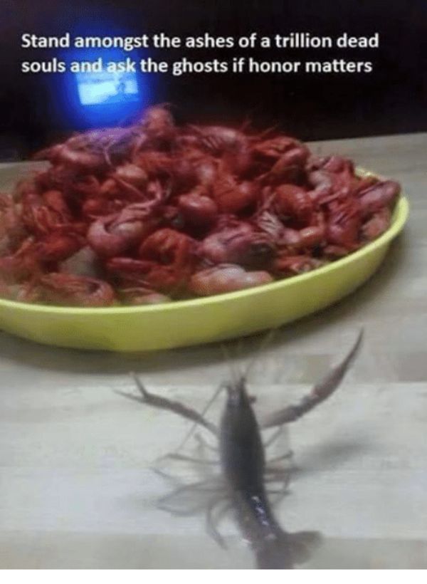 "Stand amongst the ashes of a trillion dead souls and ask the ghosts if honor matters"

Picture of a living crawdad with claws raised, looking dramatic, in front of a plate of cooked crawdads