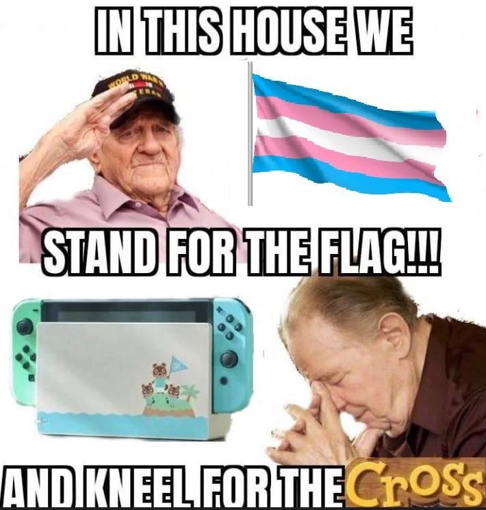 Caption reads "In this house we stand for the flag and kneel for the cross" parodying the memes of right wing Americans who salute the American flag and kneel to the Christian cross. But in this meme, the flag is the trans flag and the cross is Animal Crossing
