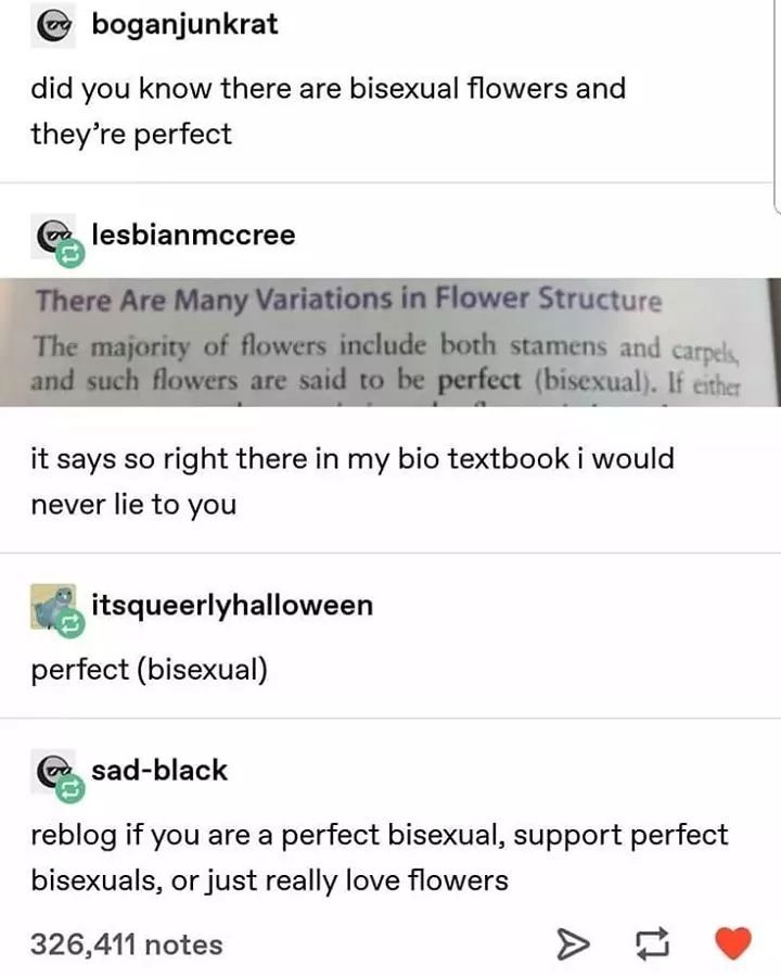 Tumblr posts reading:

Did you know there are bisexual flowers and they're perfect. It says so right there in my bio textbook I would never lie to you.
The textbook: There are many variations in flower structure. The majority of flowers include both stamens and carpels, and such flowers are said to be perfect (bisexual).
Next post: Perfect (bisexual)
Another post: Reblog this if you are a perfect bisexual, support perfect biseuxals, or just really love flowers