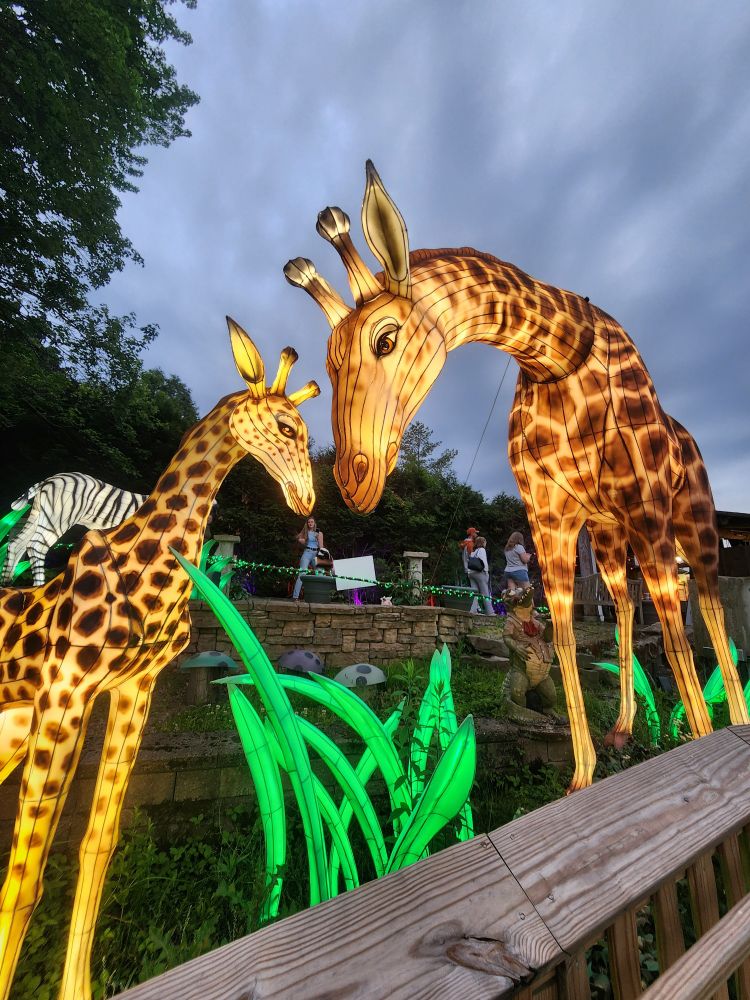 Glowing Chinese lanterns in the shape of a mother and baby giraffe,  leaning their foreheads together. 