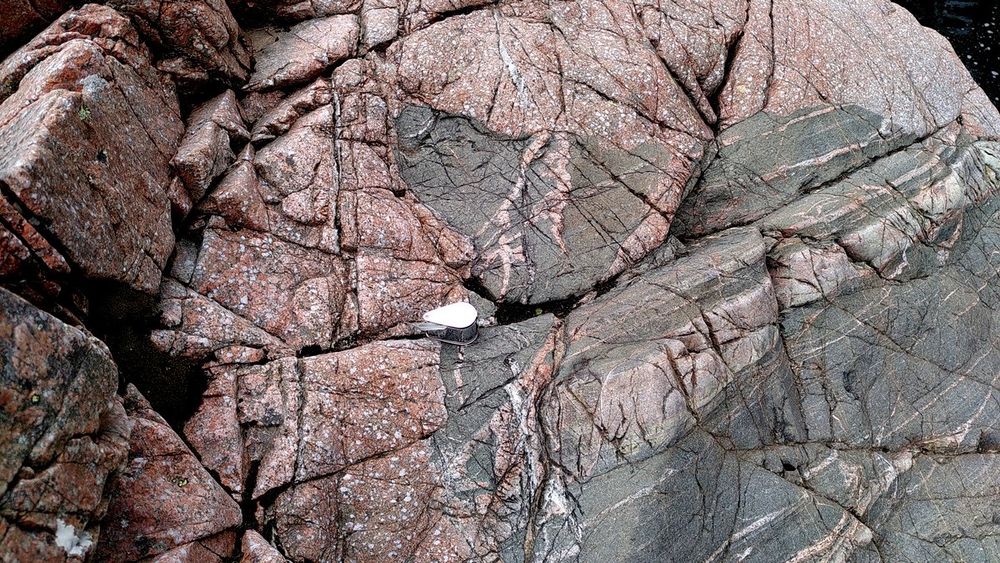 Pink granite surrounding and intruding into grey, layered sedimentary rocks.