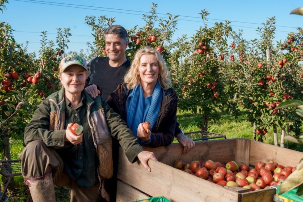 "Tatort" Niedersachsen: Charlotte Lindholm taucht im Alten Land in düstere Geheimnisse ein - Funplaza.net