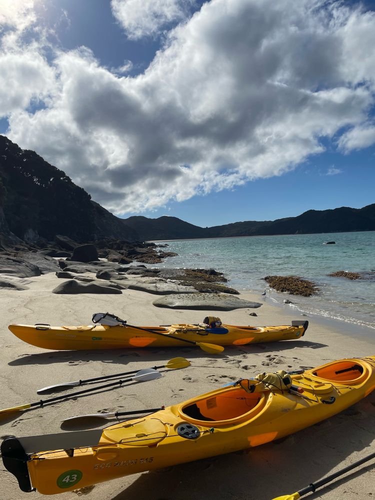 Sea kayaks on a sandy part of beach at Abel Tasman NP