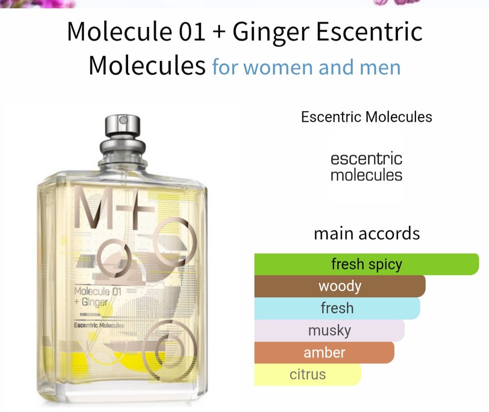 Molecule 01 + Ginger accords fresh spicy Woody fresh musky Amber citrus. Features a square ish bottle with abstract circle label design
