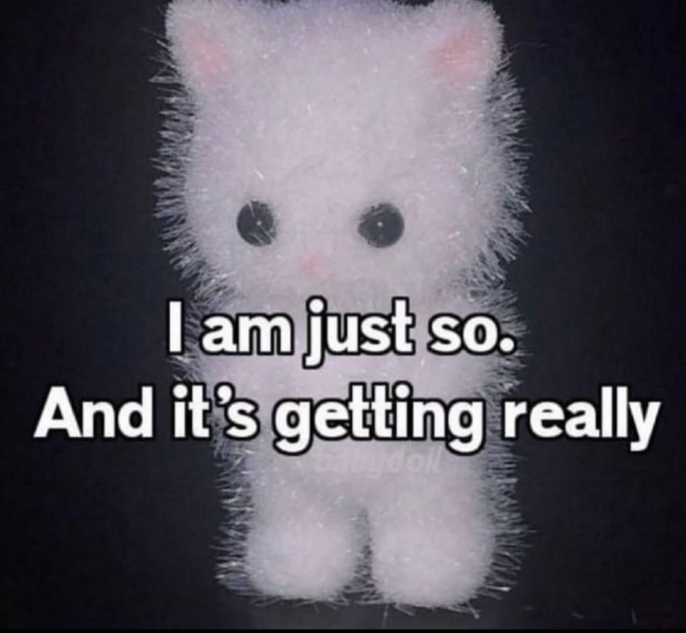 fuzzy lil guy
i am just so.
and it’s getting really