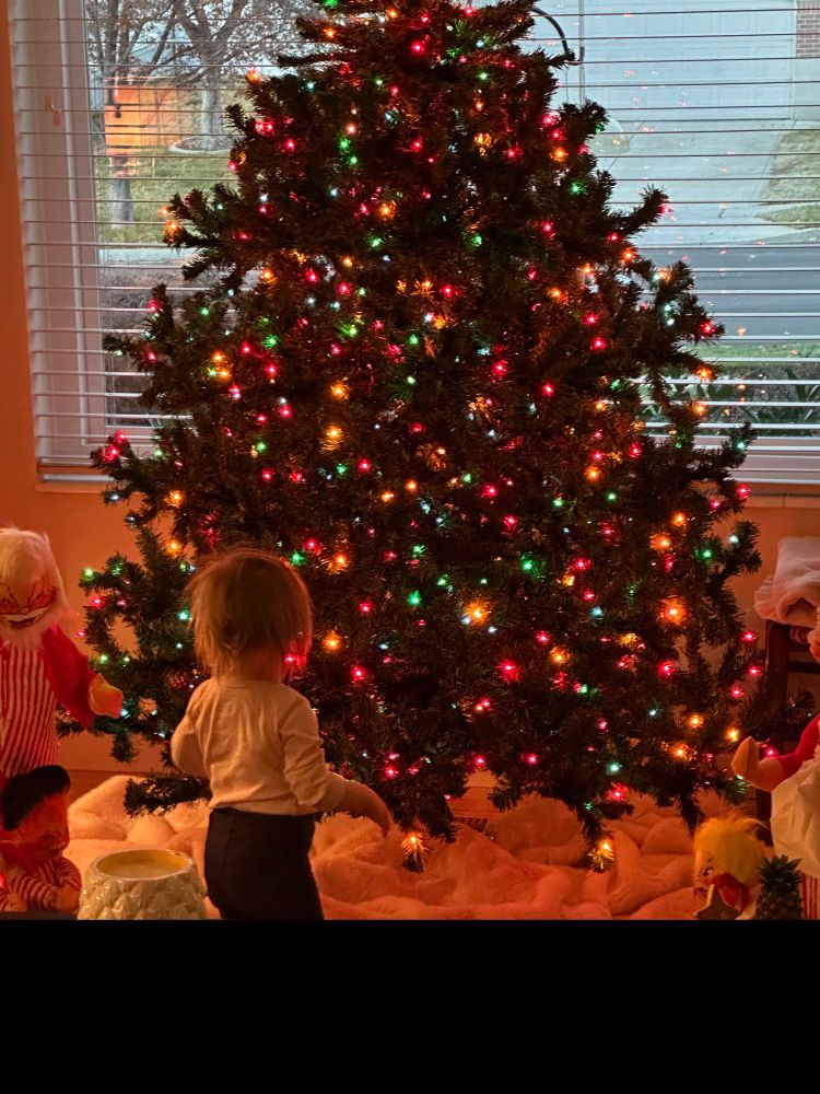 Child gazing at Christmas tree.