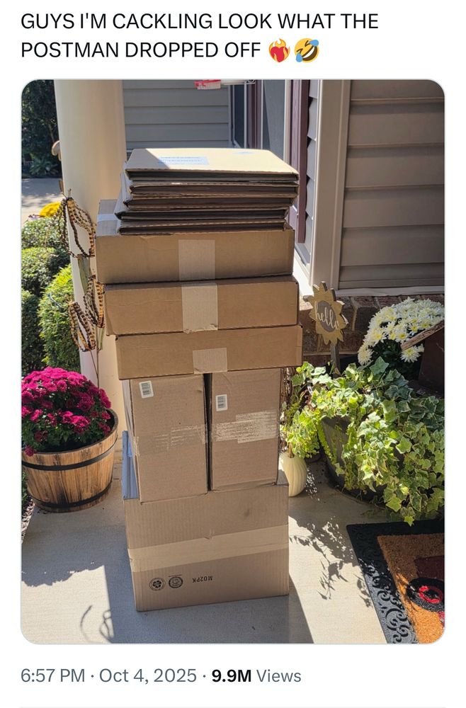 A picture of a tall stack of boxes with the caption “GUYS I'M CACKLING LOOK WHAT THE POSTMAN DROPPED OFF”