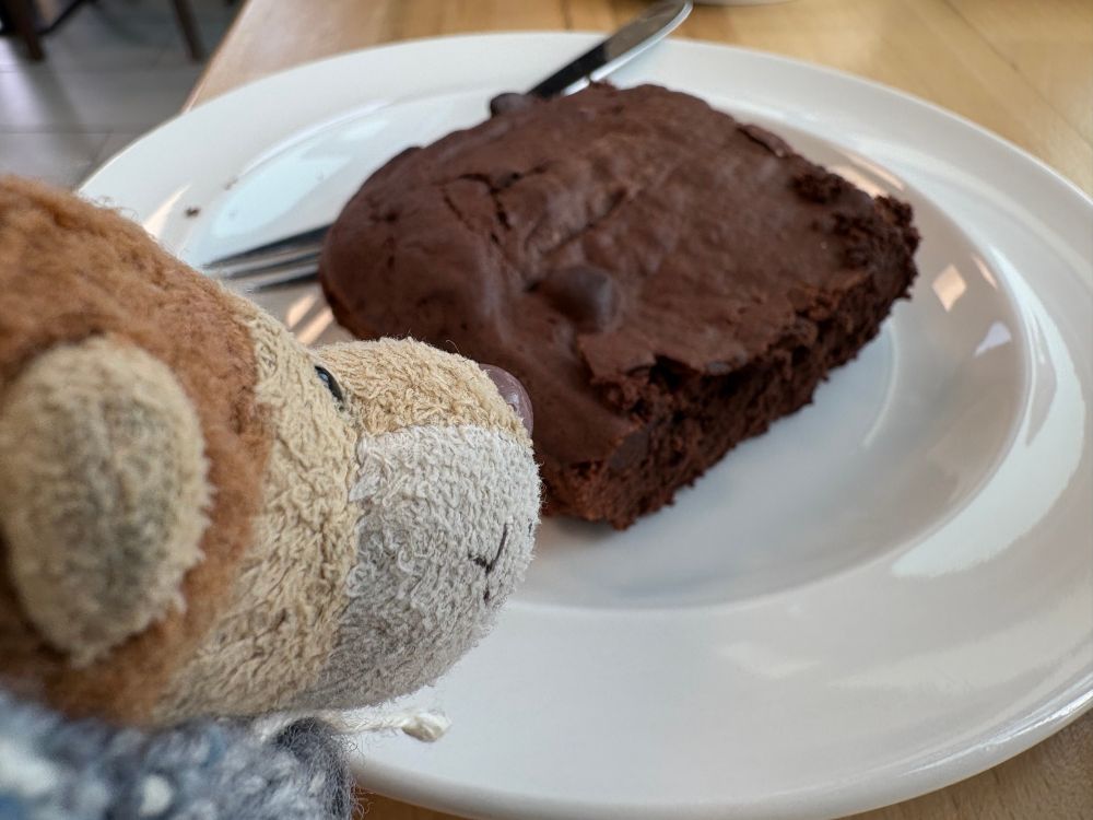 Kleiner Plüschlöwe vor einem Stück Schokokuchen 