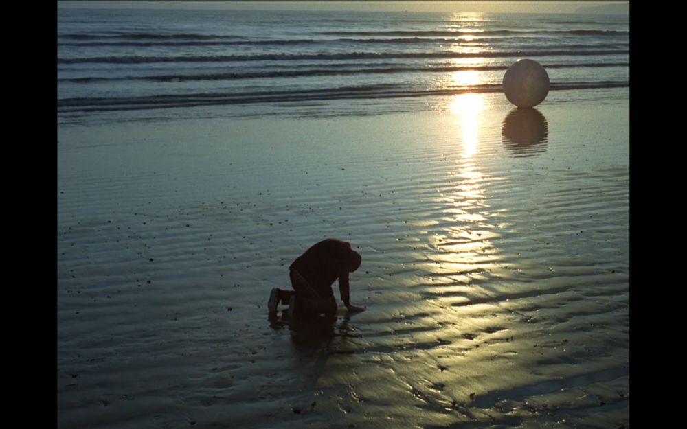 Six and Rover on the beach
