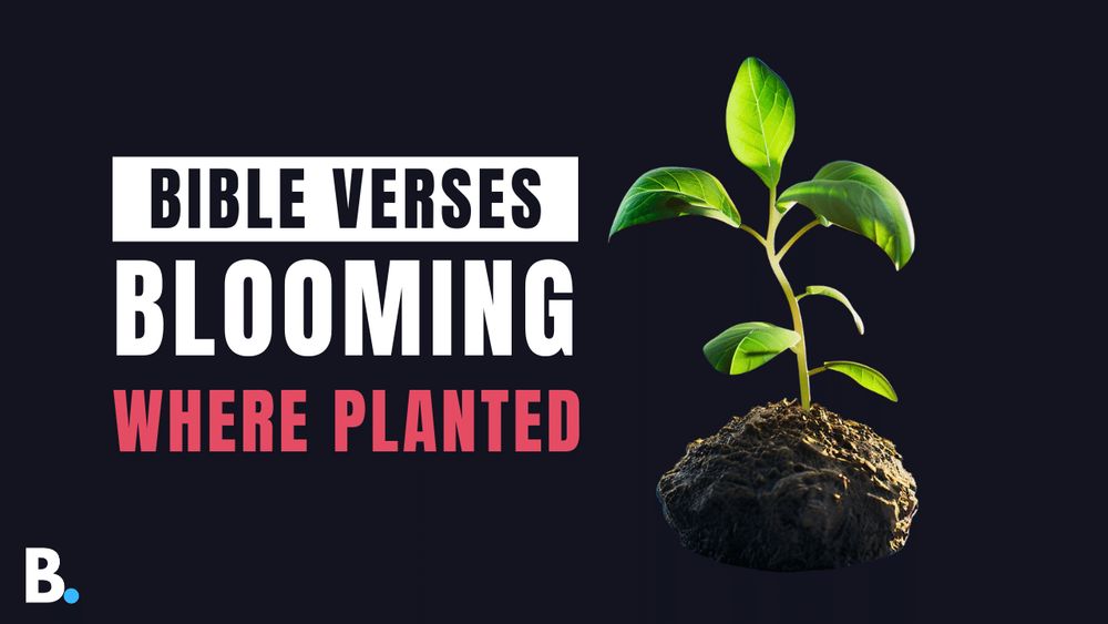 Bible Verses About Blooming Where You Are Planted - Answering Bible Questions | The Bible Blog