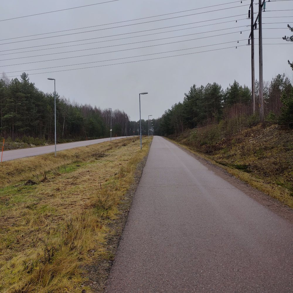 En grå evighetslång gångväg kantad av brun natur under en grå himmel