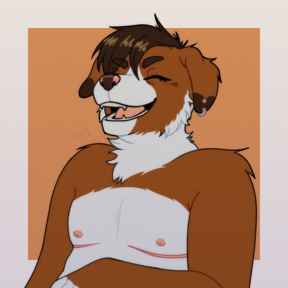 A half body drawing of an anthro dog facing screen left, in the middle of a big laugh. They are a Nova Scotia Duck Tolling Retriever. They have brown fur with some white markings on their muzzle, neck, cheek fur, chest, and belly. Their ears have dark brown tips and dark brown hair and eyebrows. Their nose is also mostly dark brown with some pink on the edges. Their screen right ear has two piercings, a stud and hoop. They also have double incision top surgery scars. The background is a light orange with a white border.