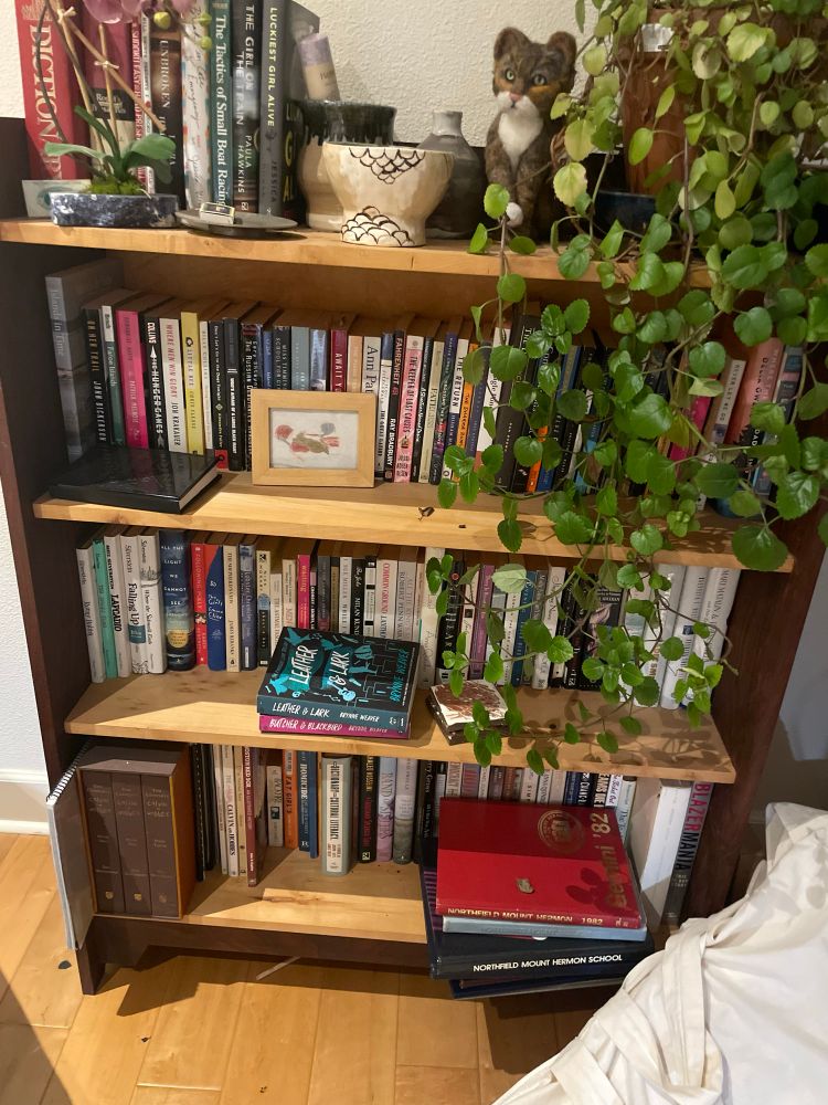 Wood book case with black walnut sites. Books, plants