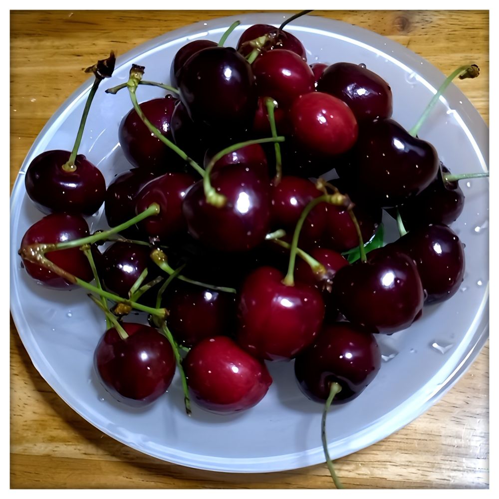 アメリカンチェリー