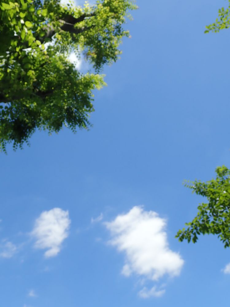 夏空