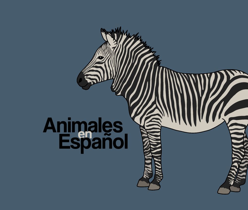Blue background with digital drawing of a zebra, facing the left side of the screen. Next to it is the words "Animales en Español" in black and white