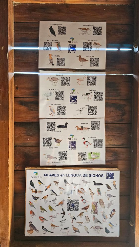 A photo of four signs pinned vertically on a wooden bird hide wall. They have images of commonly observed birds and QR codes. The text is too small to see on the first three signs but the last one says "60 aves en llngua de signos"