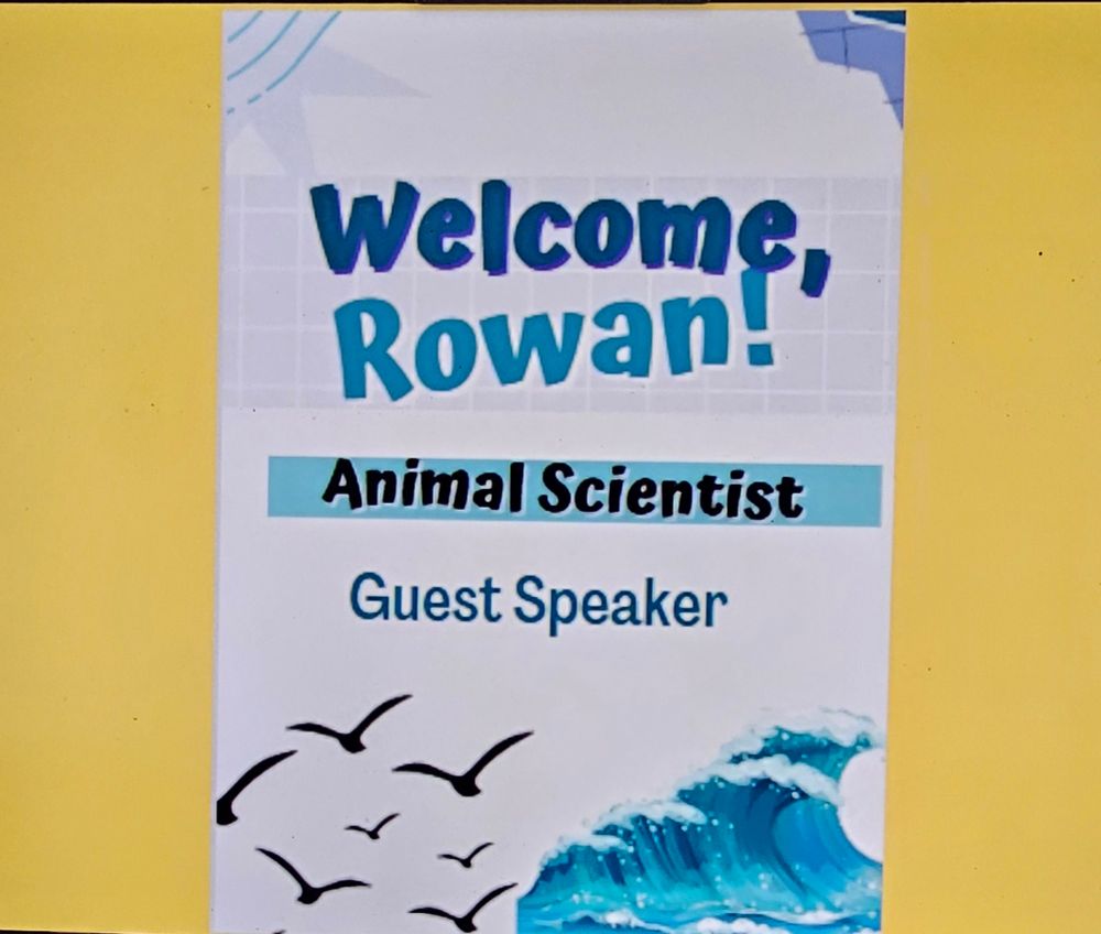 A yellow background with a white sign that has the words "Welcome, Rowan!" ("Welcome" in dark blue, "Rowan" in lighter blue), with a blue bar underneath that says "Animal Scientist" in black letters. Under that it says "Guest Speaker" in blue, and at the bottom is a Clipart design of a flock of seagulls, and an ocean wave