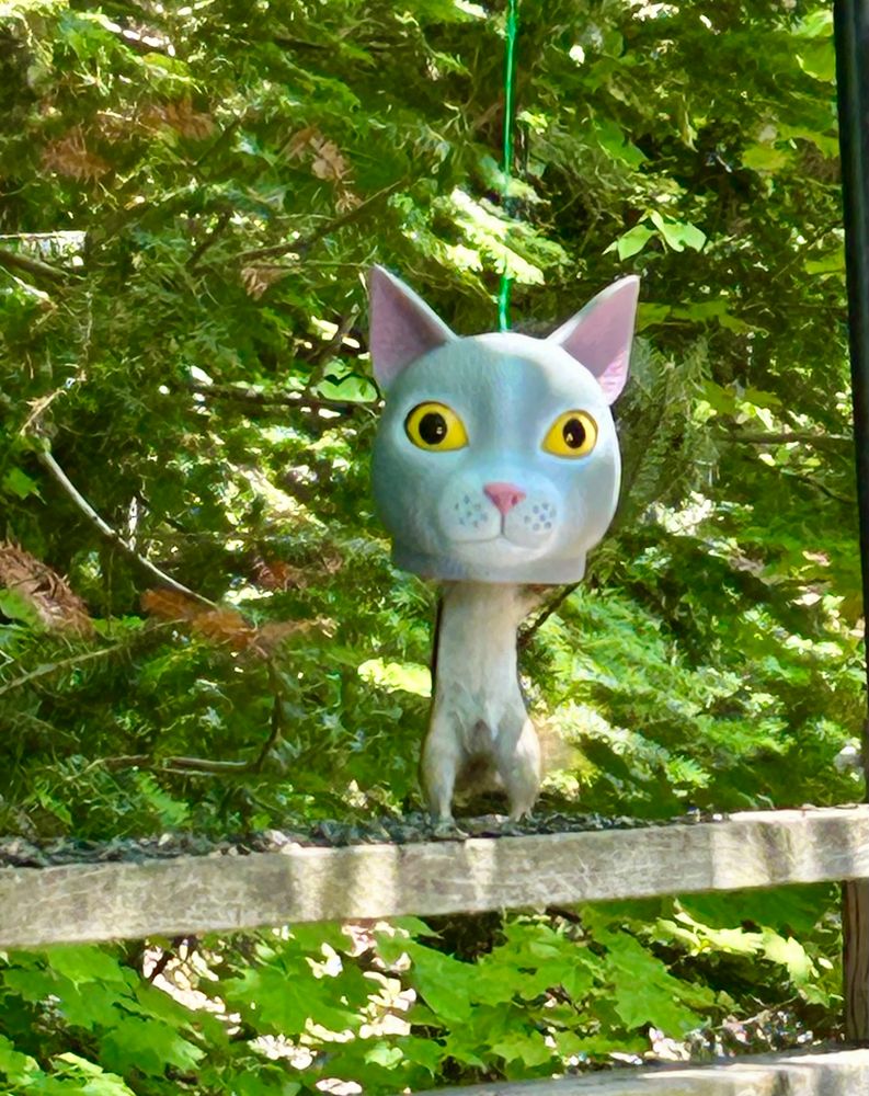 A red squirrel with his head inside a feeder that resembles a cat head