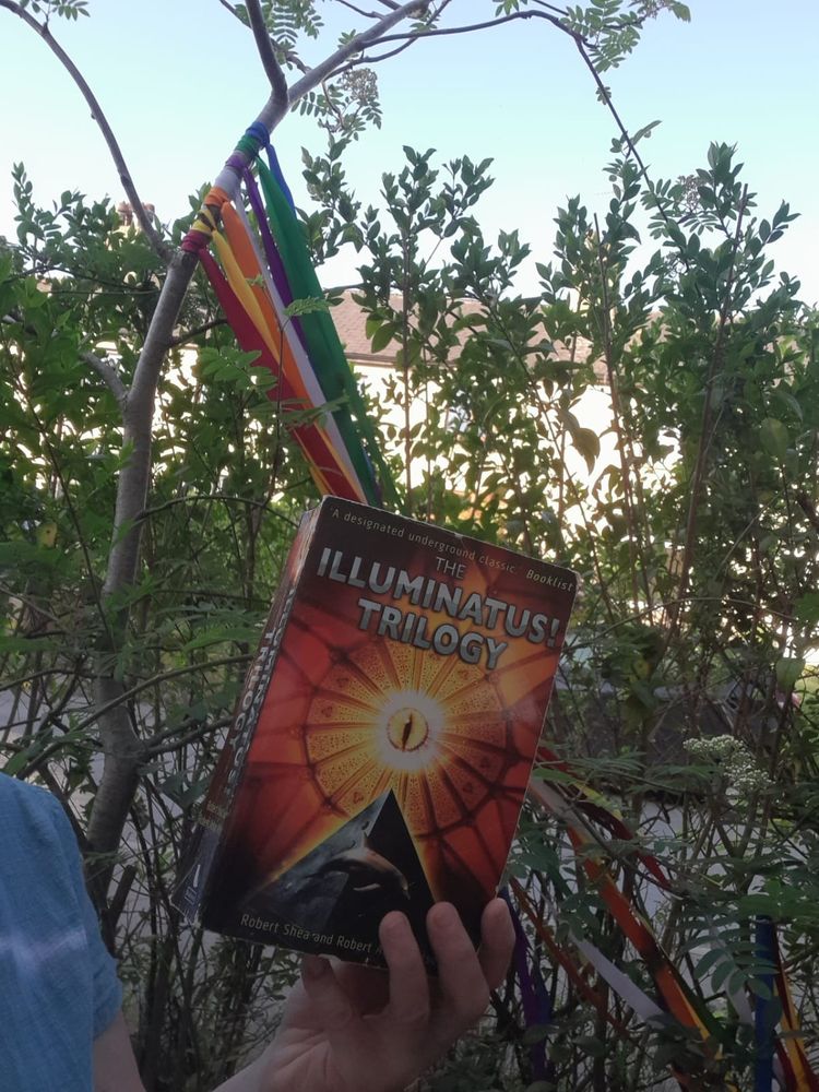The book 'the illuminatus trilogy' in front of a tree with ribbons