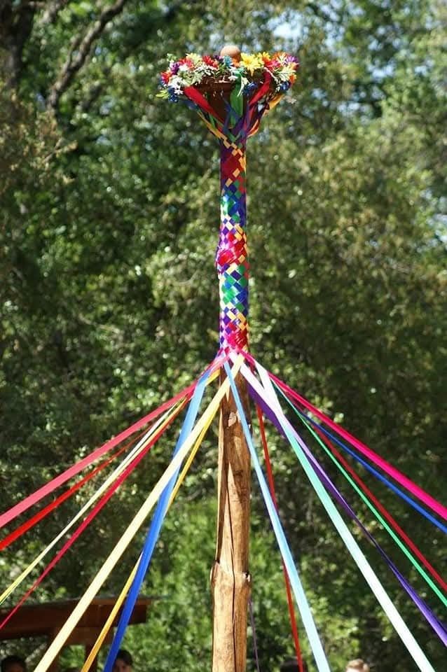 A Maypole with coloured ribbons that have been woven onto the pole