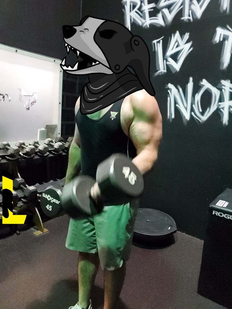 Photo taken in a gym of a very muscular man doing bicep curls with 45 lb weights. A beagle Hound helm was edited on top of the image to make it look like he's wearing it.