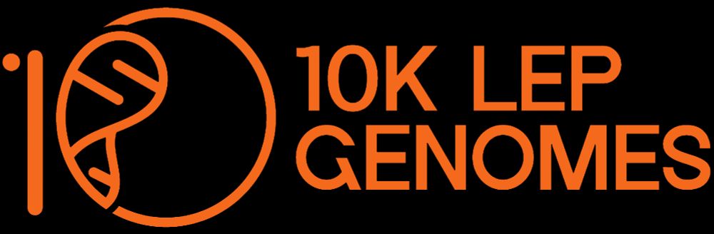 Logo of the 10kLepGenomes COST Action. Orange text "10K LEP GENOMES" accompanied by a design that uses the number 10 and the letter "K" to represent a butterfly and DNA.