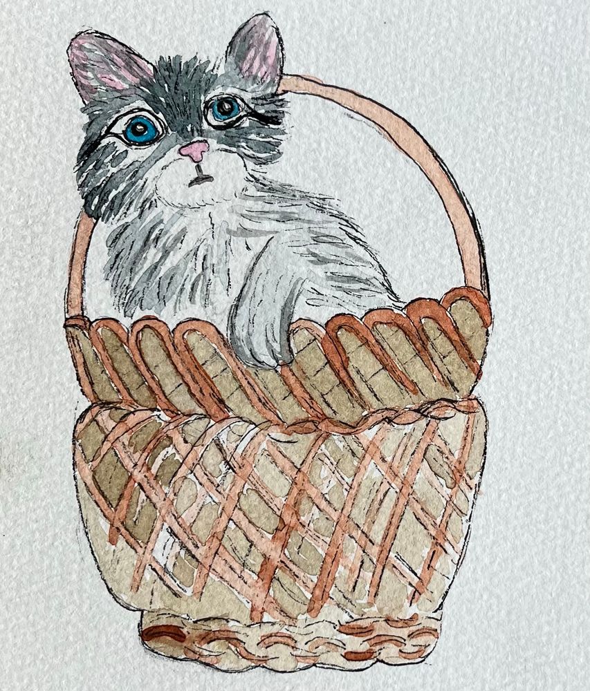 Ink and watercolor illustration of a gray kitten in a brown basket.
