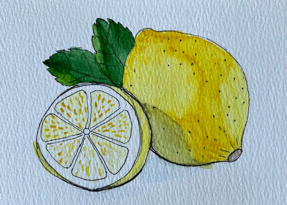 Watercolor and ink illustration of 2 lemons, one of them sliced open.