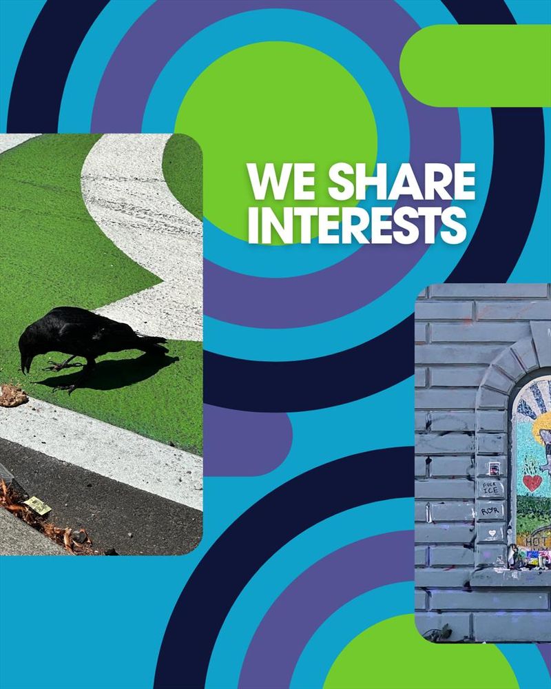 We share interests

Pictures of crow and Saint Rat in Cal Anderson Park