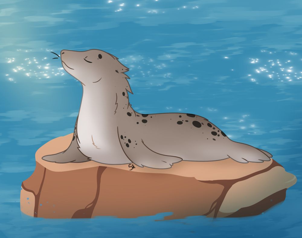 My seal oc King, sitting on a rock and soaking up some sun rays 