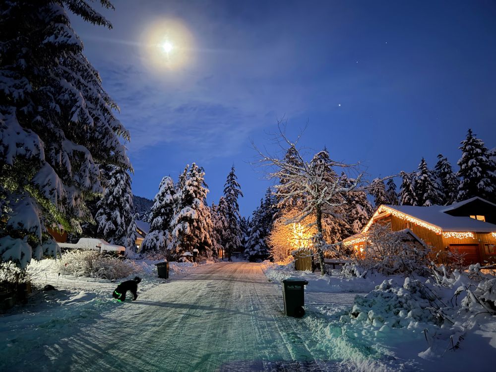A snow covered street with spruce trees with their branches weighed down by frozen snow and trash cans. Houses lined with Christmas lighting and the moon and (I believe Venus) shining in the predawn sky. 