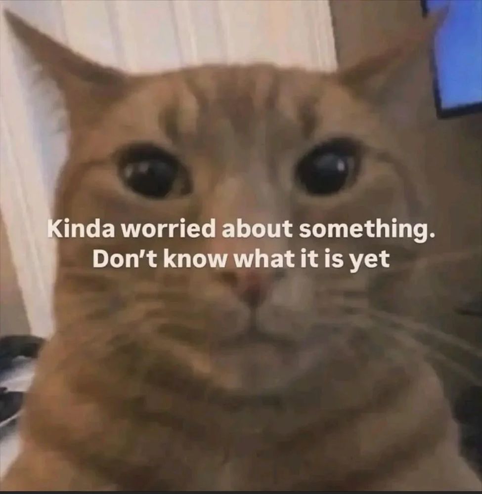 Cat worried about something but it doesn't know what it is yet