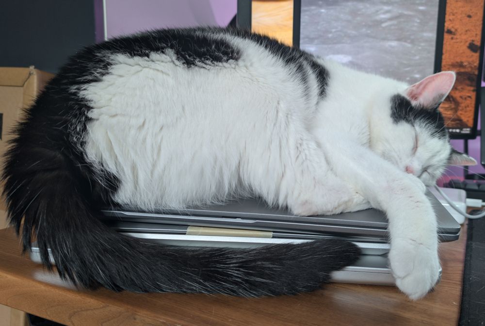 Sleepy cat on warm stack of laptops.
