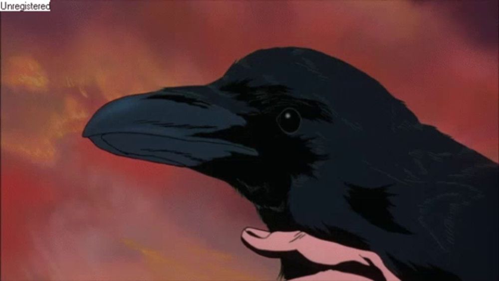 a person holding a black bird with an unregistered watermark on the bottom