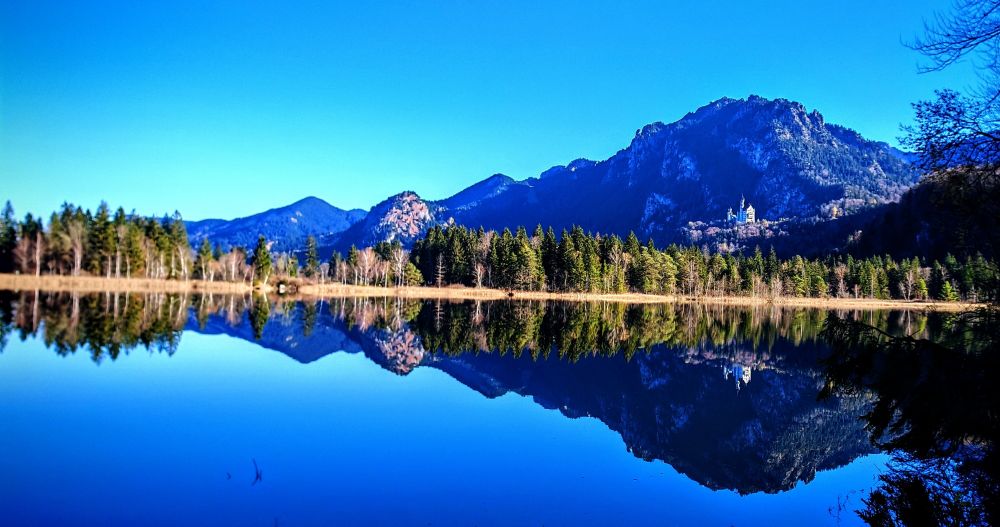 The Schwansee near Neuschwanstein creates a flawless mirror reflection of the Bavarian Alps and surrounding forest, with King Ludwig's famous castle visible as a tiny speck on the mountainside. Despite its name promising swans, the lake delivers only outrageously perfect scenery—because apparently one fairytale castle in the background wasn't enough drama for this overachieving body of water.

Der Schwansee bei Neuschwanstein erzeugt eine makellose Spiegelung der Bayerischen Alpen und des umliegenden Waldes, mit König Ludwigs berühmtem Schloss als winzigem Punkt am Berghang. Trotz seines Namens, der Schwäne verspricht, liefert der See nur empörend perfekte Landschaft—denn anscheinend war ein Märchenschloss im Hintergrund nicht genug Drama für dieses übereifrige Gewässer.